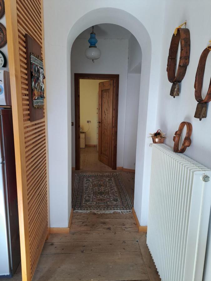 皮耶韦迪卡多雷L' Antica Casa Di Maria Lilia公寓 外观 照片